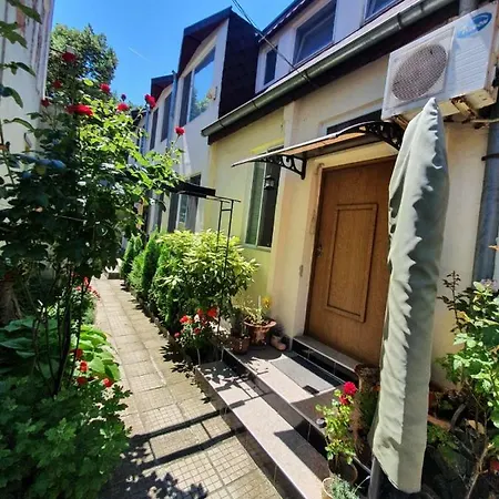 Center And * Varna