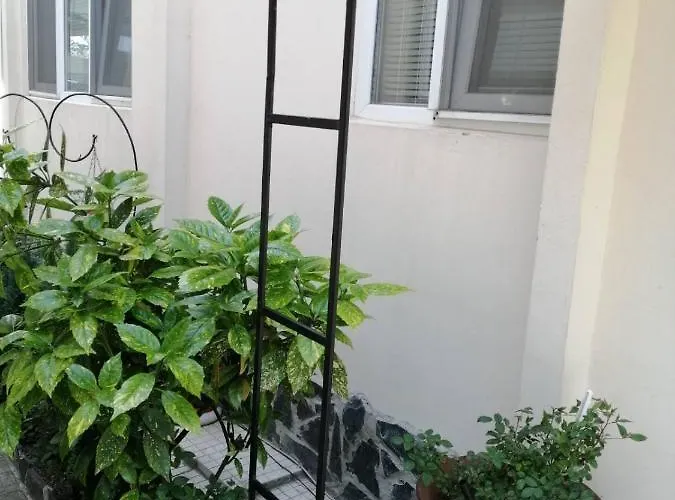 Center And Appartement