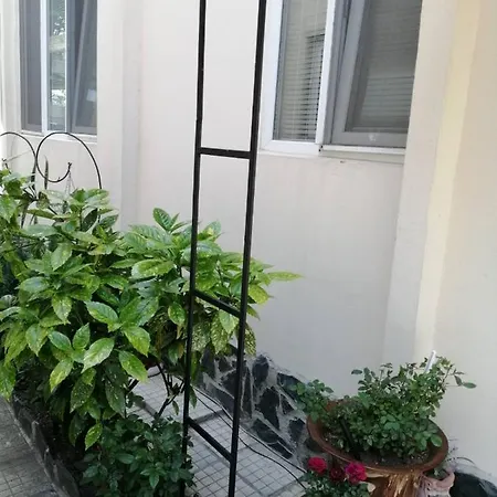 Center And Apartment